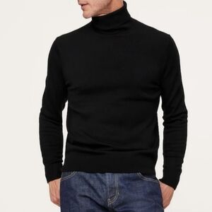 Banana Republic Italian Marino Wool Turtleneck Sweater In Light Gray